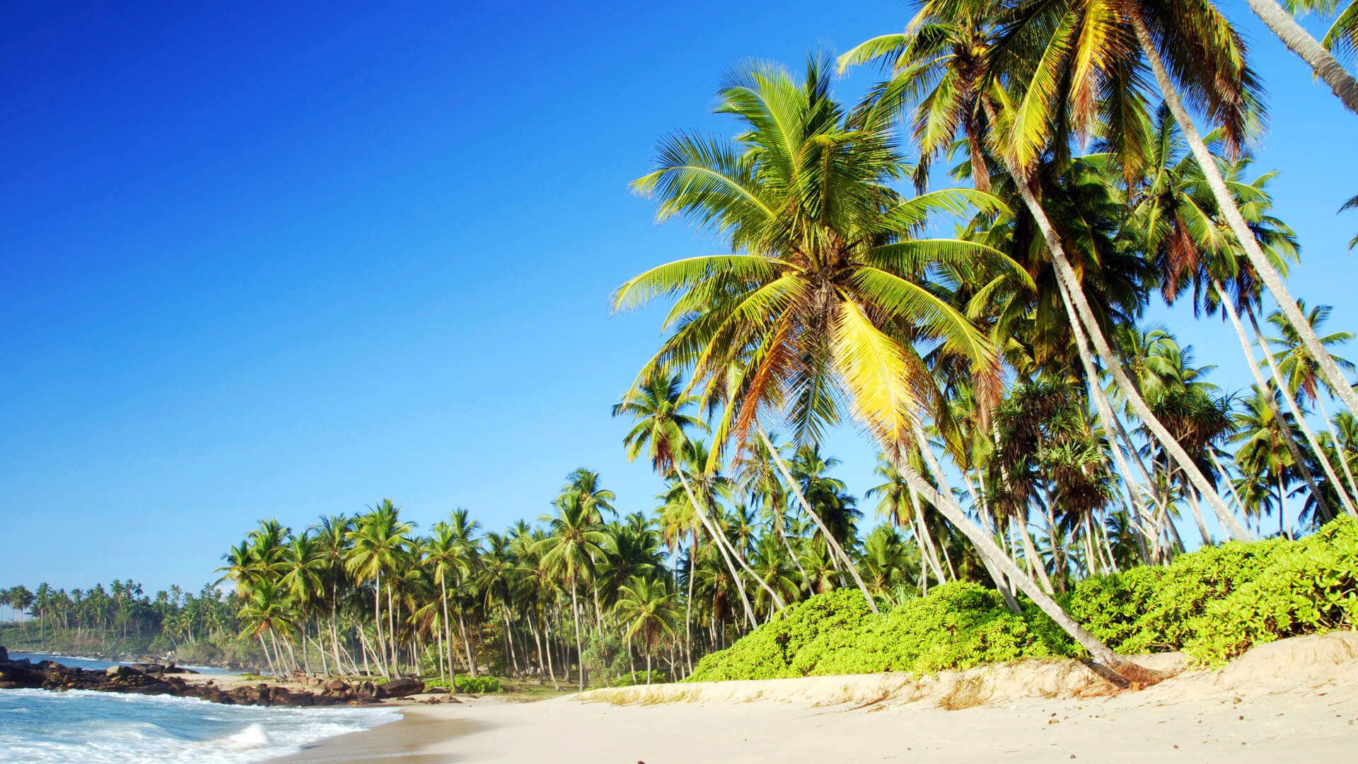 YAKA Special Tour one day